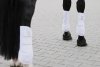 Ochraniacze przody PRO DRESSAGE FRONT Platinum 2024 - Eskadron - white
